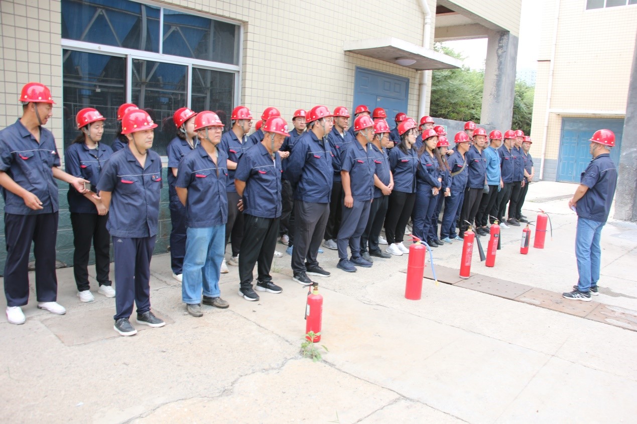 1689827310374.jpg 10.jpg